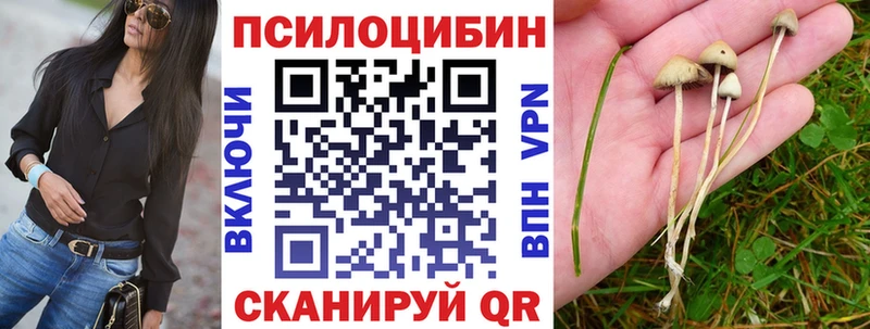 блэк спрут зеркало  Жигулёвск  Псилоцибиновые грибы мицелий 